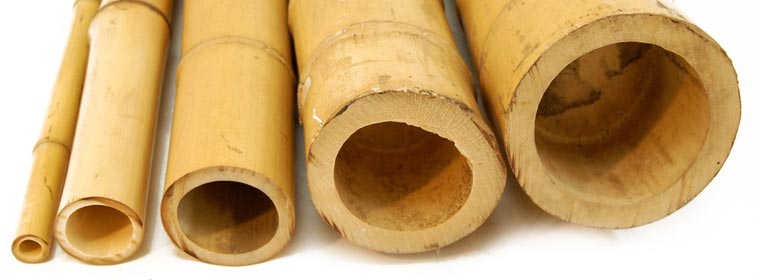 Euro Arredo Design: Canne di Bambù